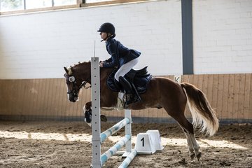 Bild 21 - Pony Akademie Turnier